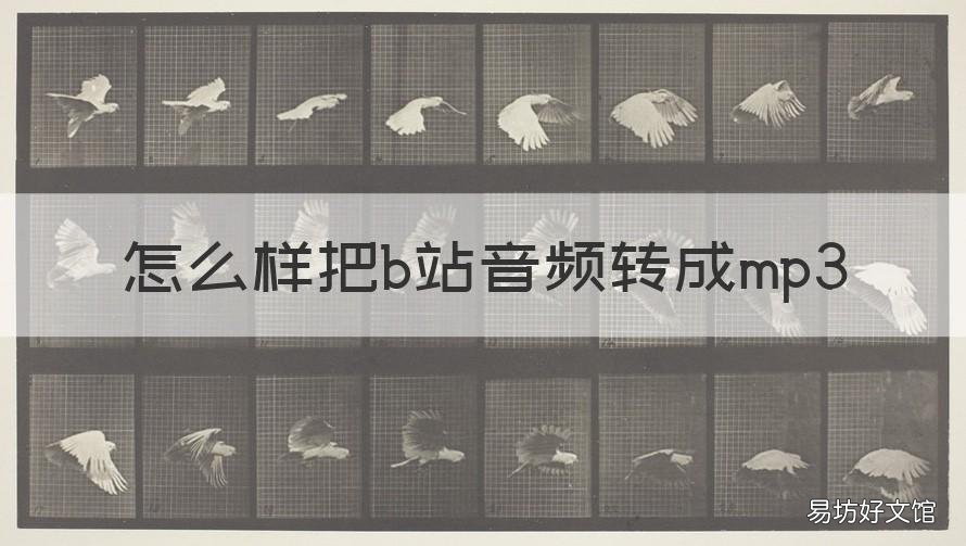 怎么样把b站音频转成mp3 b站视频如何转成mp3