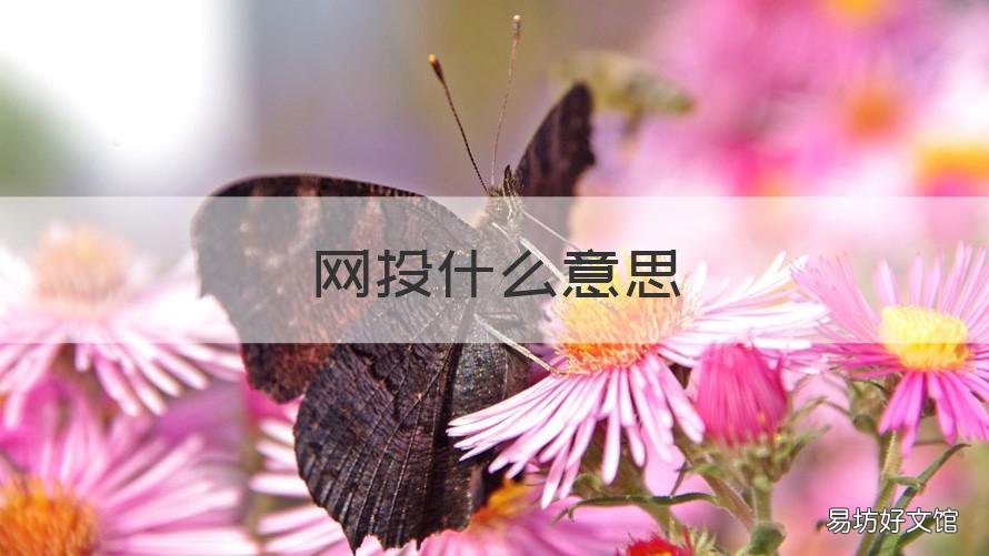 网投什么意思 什么是网投