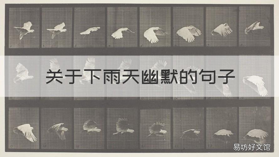 关于下雨天幽默的句子 关于下雨天幽默的句子搞笑