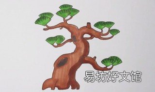 松树怎么画 松树怎么画简单又好看图片