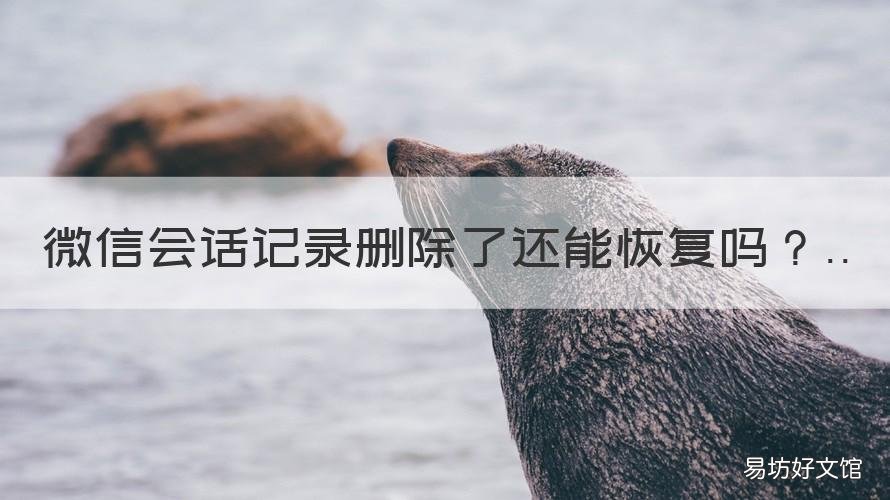 微信会话记录删除了还能恢复吗 微信会话记录删除了还能恢复嘛