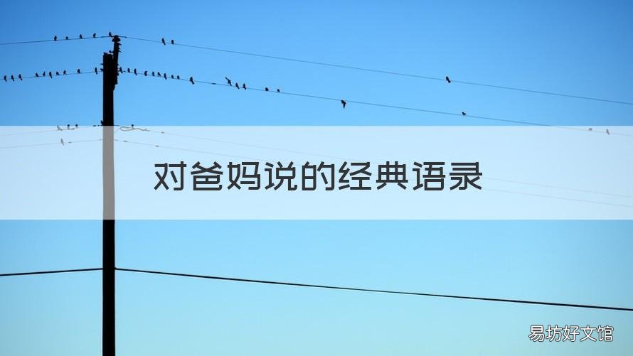 对爸妈说的经典语录 对爸妈说的一段话