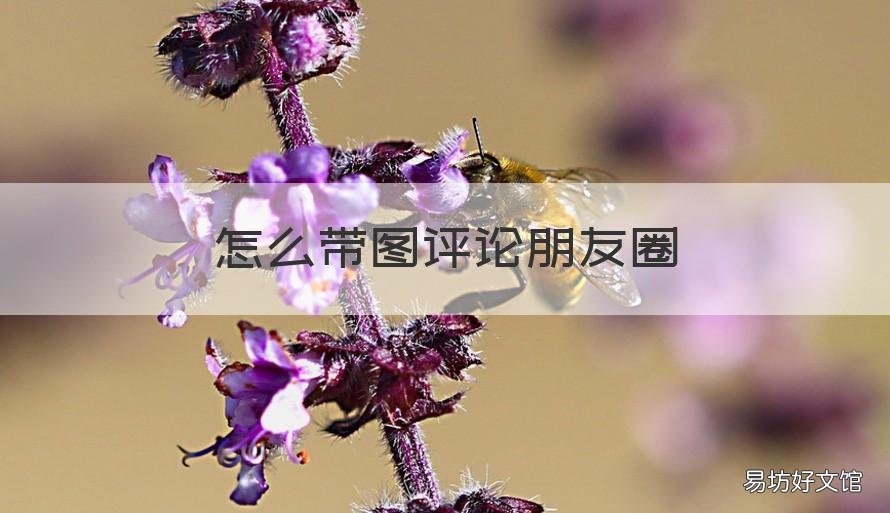 怎么带图评论朋友圈 朋友圈评论怎么配图