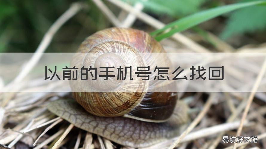 以前的手机号怎么找回 怎样找回以前手机号