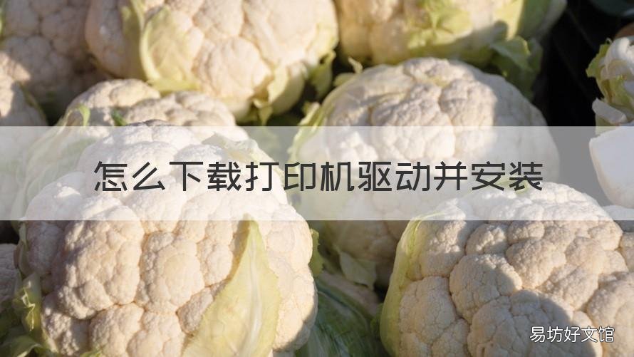 怎么下载打印机驱动并安装 怎么下载打印机驱动并安装到电脑