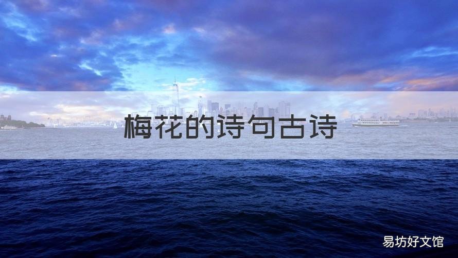 梅花的诗句古诗 梅花的诗句古诗大全梅花自苦寒来