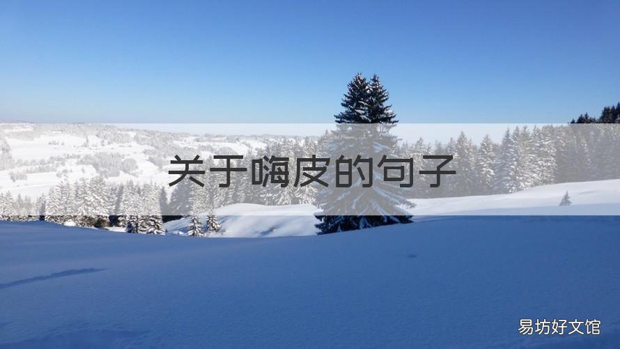 关于嗨皮的句子 嗨皮的短句