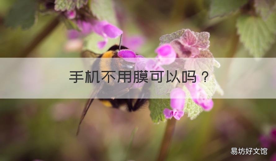 手机不用膜可以吗 不使用手机膜