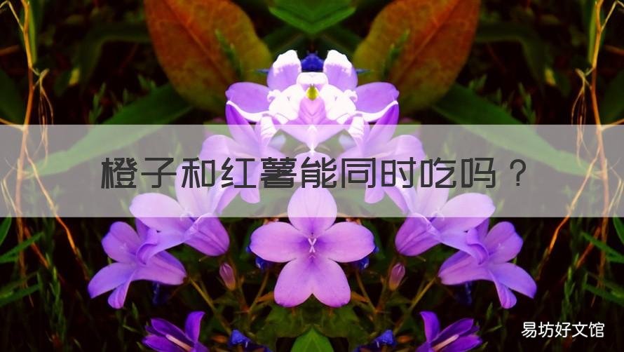 橙子和红薯能同时吃吗