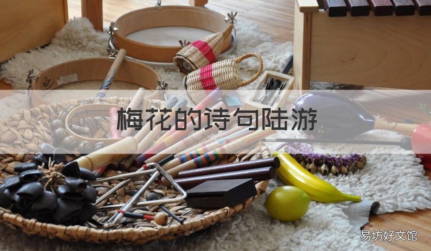 梅花的诗句陆游 陆游有关梅花的诗