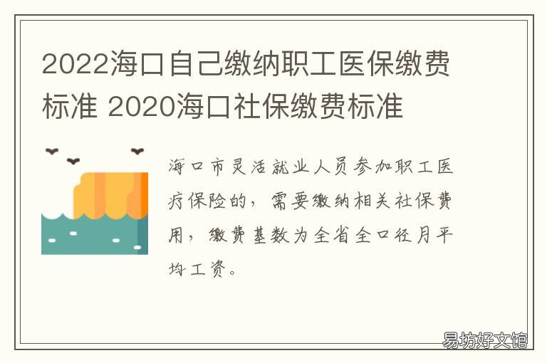 2022海口自己缴纳职工医保缴费标准 2020年海口社保个人缴费标准