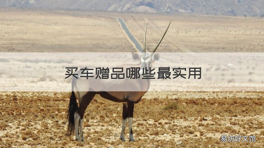 买车赠品哪些最实用 买车赠送哪些赠品最划算