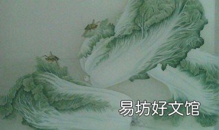 工笔白菜上色步骤 白菜什么颜色怎么上色