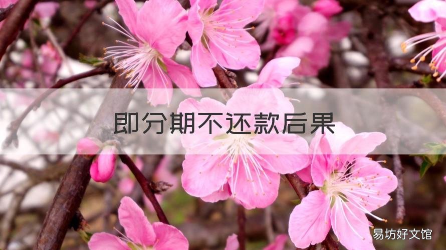 即分期不还款后果 分期付款未还款后果