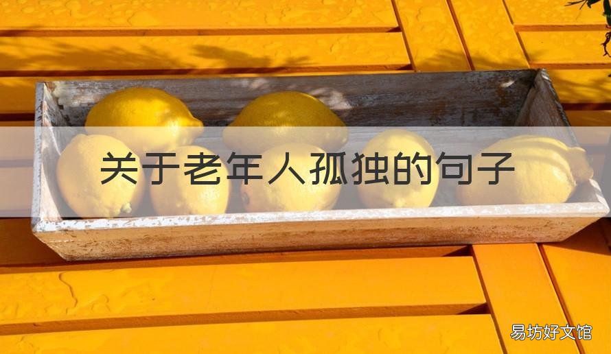 关于老年人孤独的句子 老年人孤单的句子