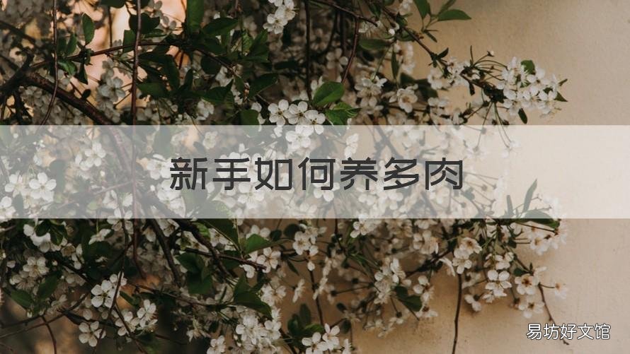 新手如何养多肉 新手如何养多肉玉露