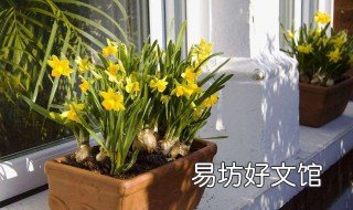 4小苏打养花方法 小苏打养花方法大全?