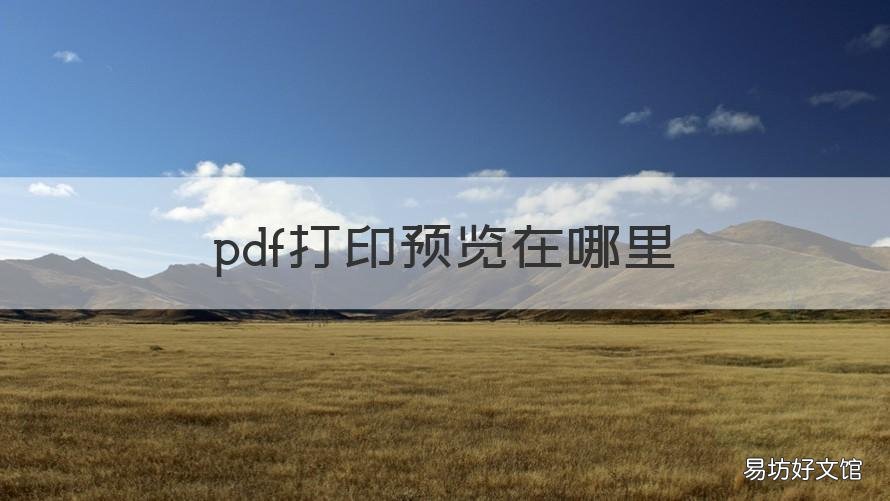 pdf打印预览在哪里 pdf打印预览在哪里看
