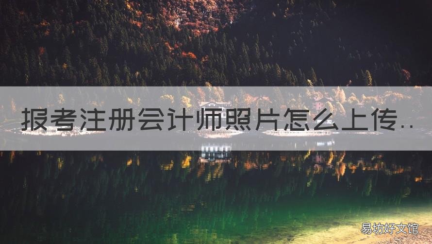 报考注册会计师照片怎么上传 注册会计师报名照片上传不了