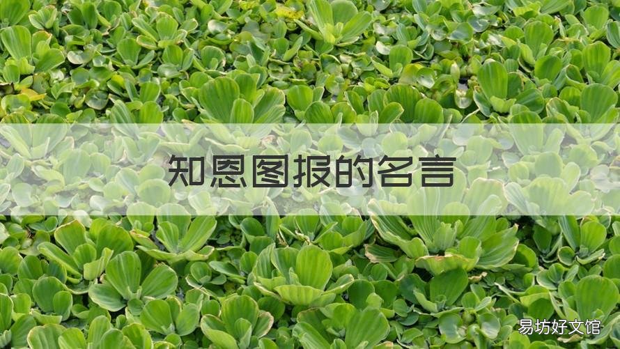 知恩图报的名言 关于知恩图报的名言有哪些