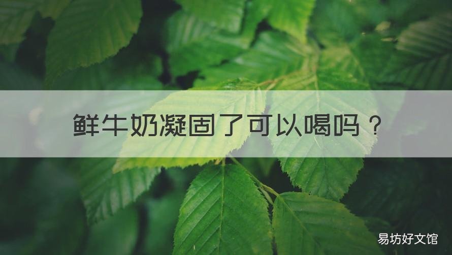 鮮牛奶凝固了可以喝嗎 鮮牛奶凝固了可以喝嗎沒異味