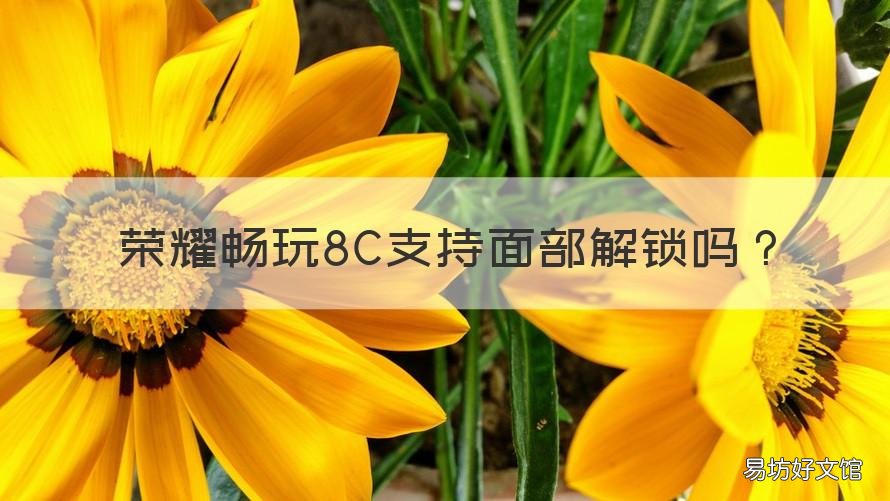 荣耀畅玩8C支持面部解锁吗 荣耀8c是畅玩8c吗