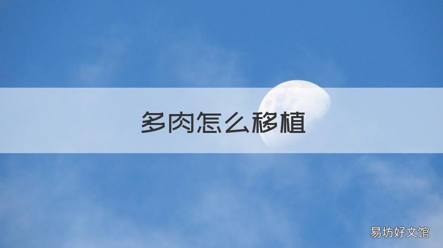 多肉怎么移植 多肉怎么移植到花盆里摆造型
