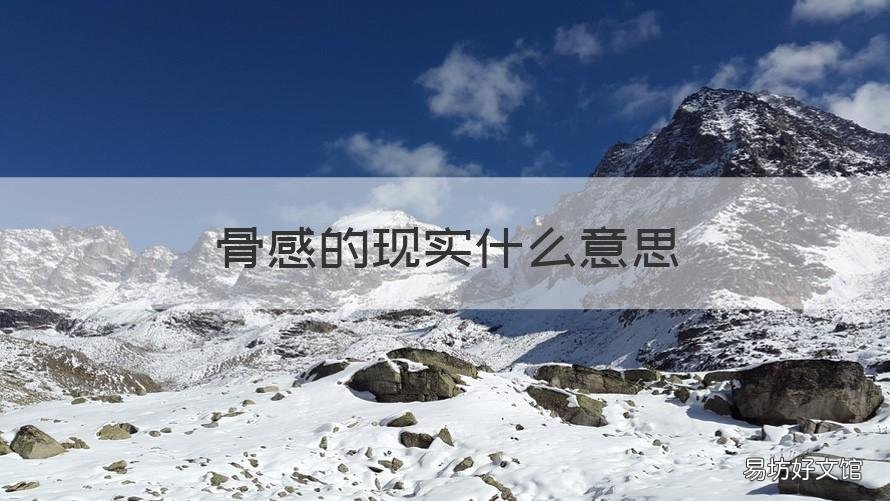 骨感的现实什么意思 现实和骨感的意思