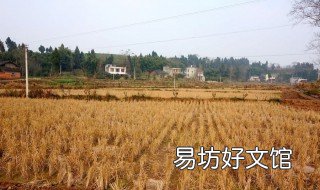 田地被侵占怎么处理 田地给别人强侵占要不回来怎么办