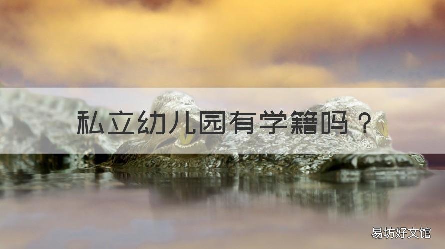 私立幼儿园有学籍吗 在私立幼儿园有学籍可以报公立幼儿园吗