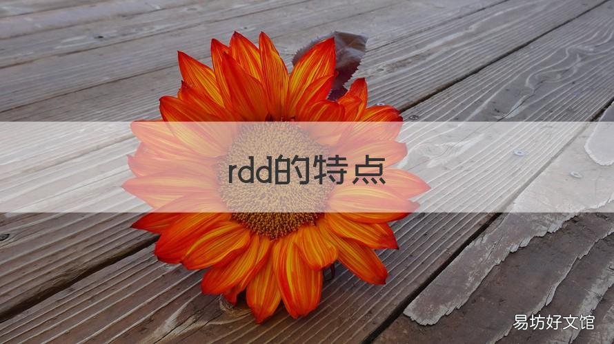 rdd的特点 RDD的特点