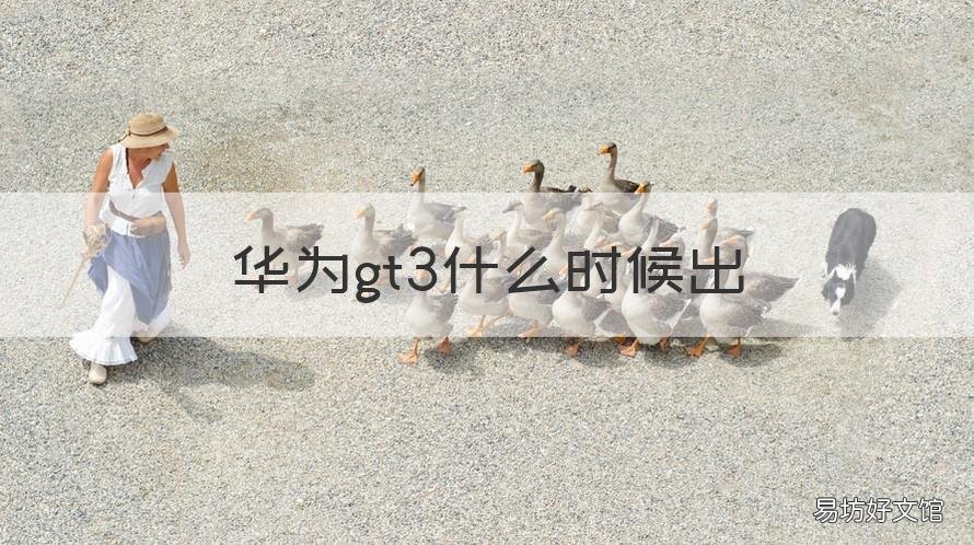 华为gt3什么时候出