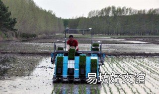 插秧机使用方法 插秧机怎样操作
