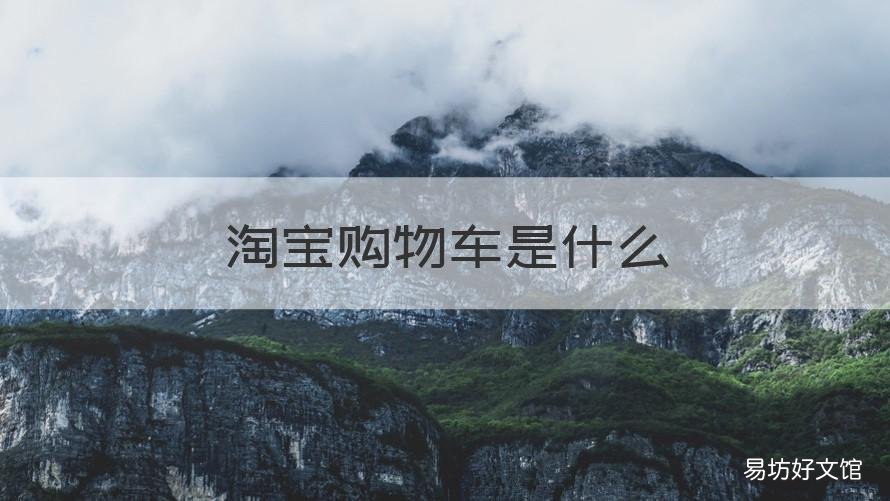淘宝购物车是什么 淘宝购物车有什么用