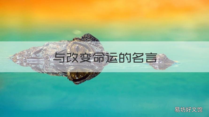 与改变命运的名言 改变命运的几句话