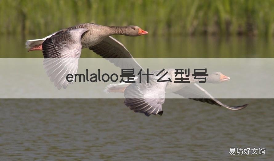 emlaloo是什么型号 emlporlo是什么牌子
