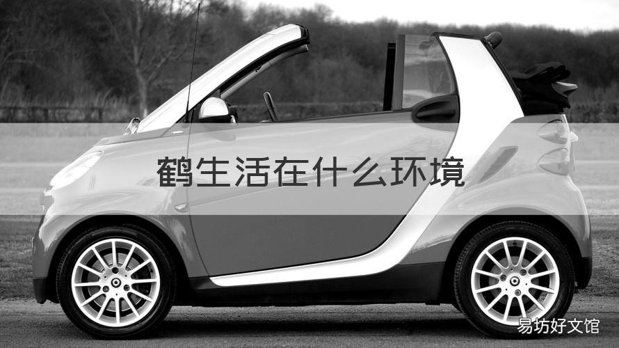 鹤生活在什么环境 鹤生长在什么环境