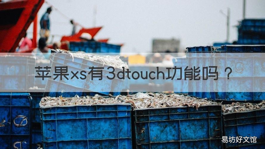 苹果xs有3dtouch功能吗