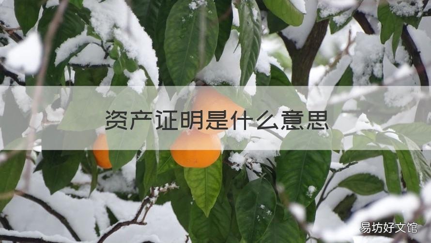资产证明是什么意思 资产证明有什么用途