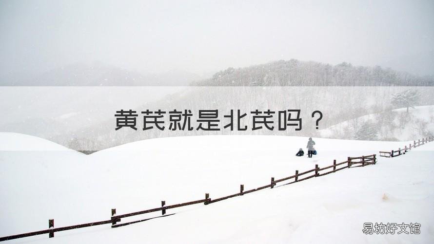 黄芪就是北芪吗 北芪是黄芪嘛