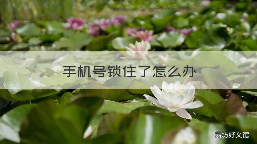 手机号锁住了怎么办 手机锁了咋办