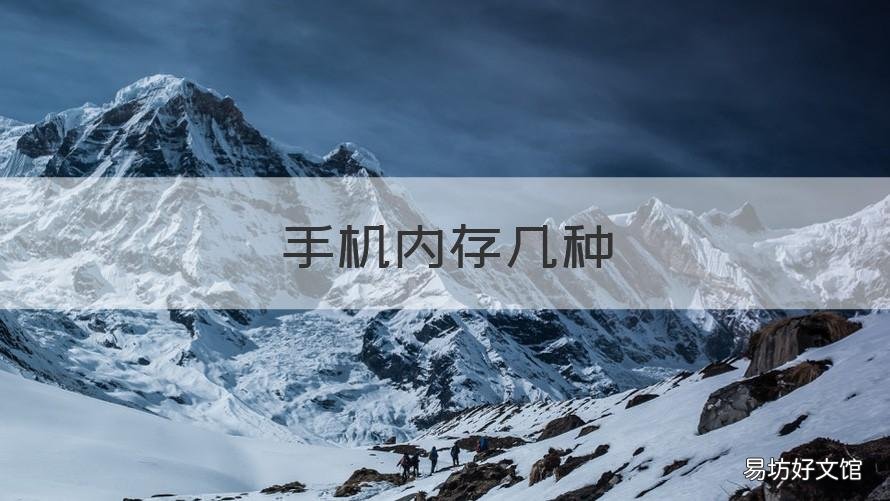 手机内存几种 手机有几种内存
