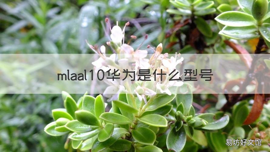 mlaal10华为是什么型号 华为mlaal10是什么型号多少钱