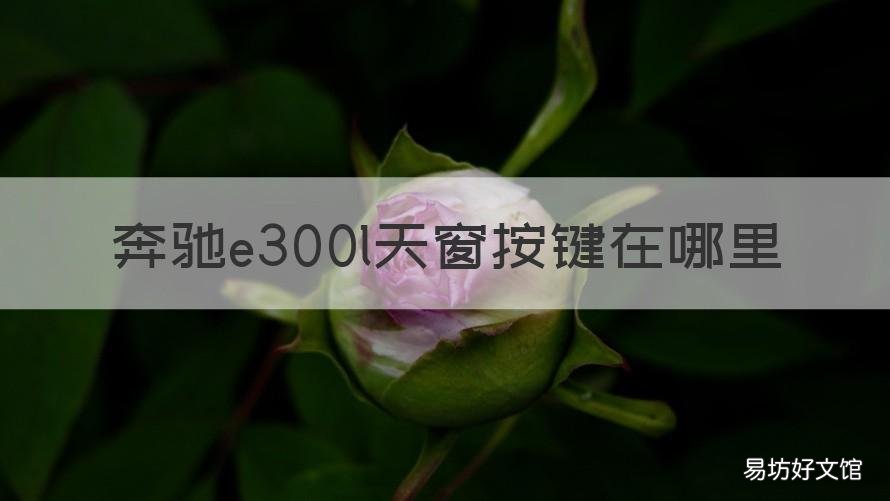 奔馳e300l天窗按鍵在哪里 奔馳e320天窗按鍵在哪