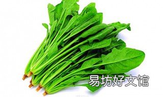菠菜种植方法和时间 菠菜种植的时间和方法