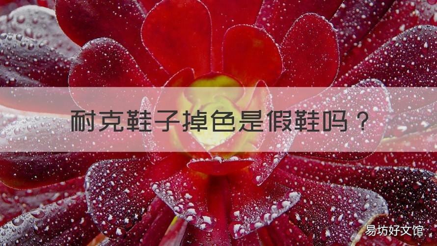 耐克鞋子掉色是假鞋吗 耐克鞋子掉色是假鞋吗知乎