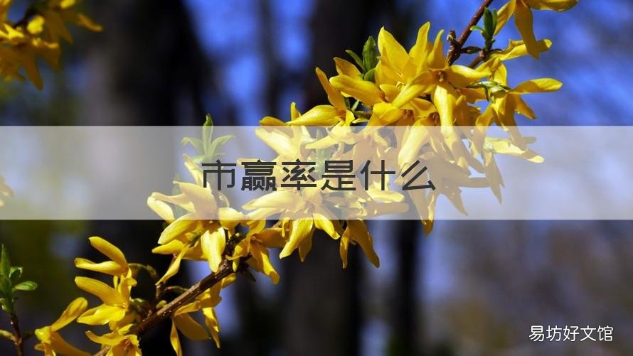 市赢率是什么 市赢率是什么意思