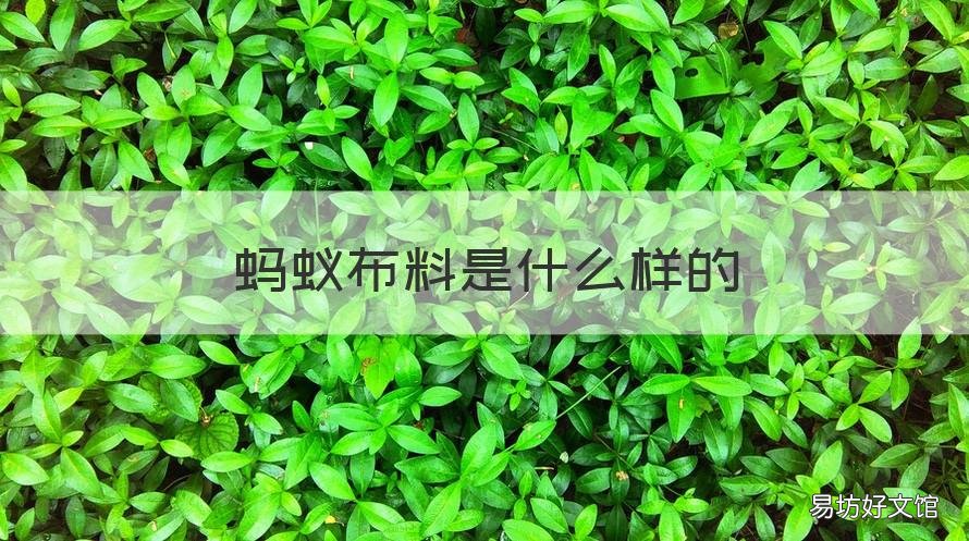 蚂蚁布料是什么样的 蚂蚁布是什么面料会起球吗