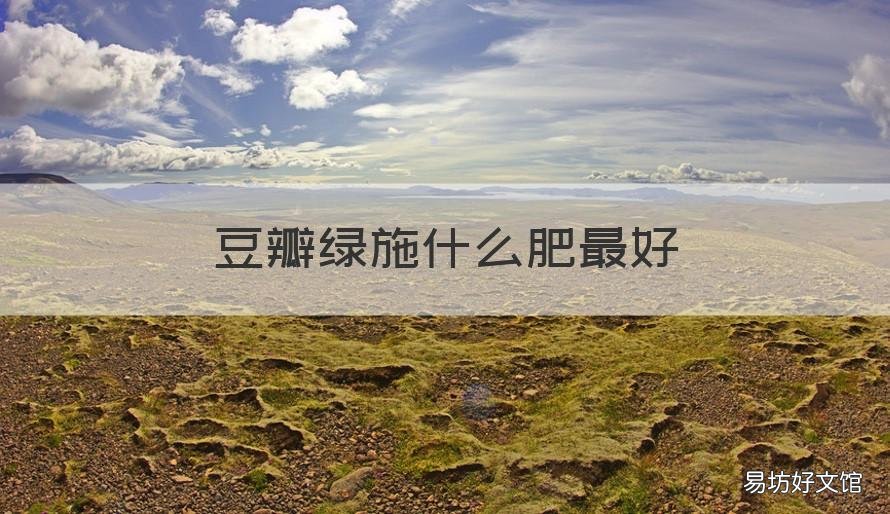 豆瓣绿施什么肥最好 豆瓣绿春天施什么肥