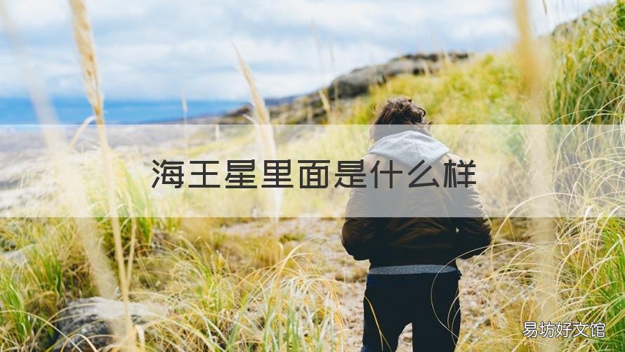 海王星里面是什么样 海王星里面是什么样的猴子图片